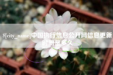 平凉中国执行信息公开网信息更新时间是多久