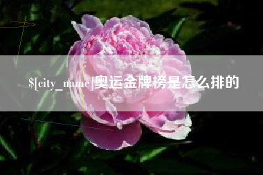 平凉奥运金牌榜是怎么排的
