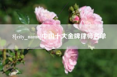 平凉中国十大金牌律师名单