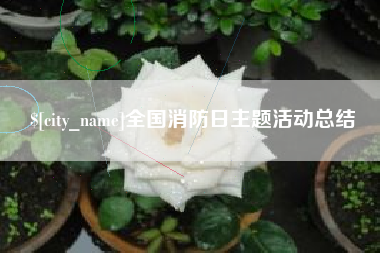 平凉全国消防日主题活动总结