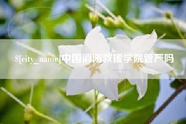 平凉中国消防救援学院管严吗