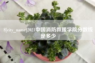平凉2021中国消防救援学院分数线是多少