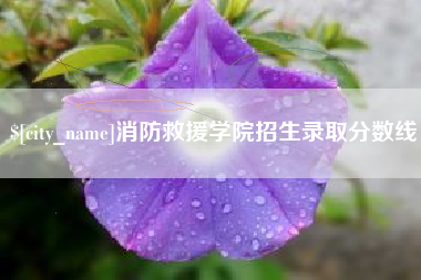 平凉消防救援学院招生录取分数线