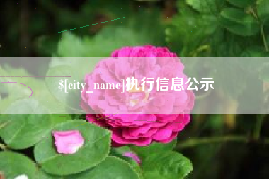 平凉执行信息公示
