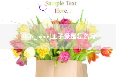 平凉王子豪是怎么写