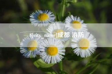 平凉成都 消防