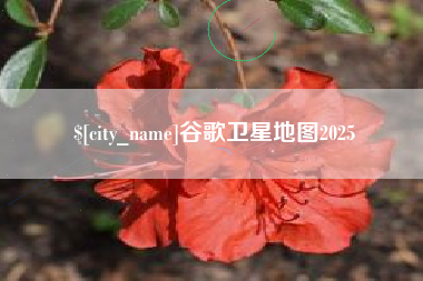 平凉谷歌卫星地图2025