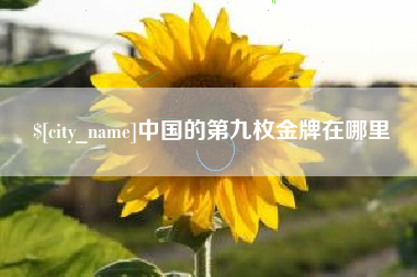 平凉中国的第九枚金牌在哪里