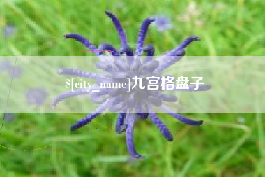 平凉九宫格盘子