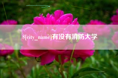 平凉有没有消防大学