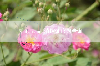 平凉消控证官网查询