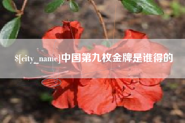 平凉中国第九枚金牌是谁得的