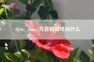 平凉九宫格游戏叫什么