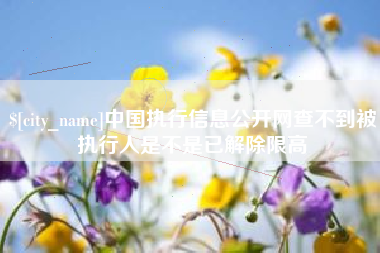 平凉中国执行信息公开网查不到被执行人是不是已解除限高