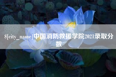 平凉中国消防救援学院2021录取分数