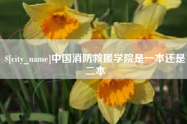 平凉中国消防救援学院是一本还是二本