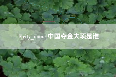 平凉中国夺金大项是谁