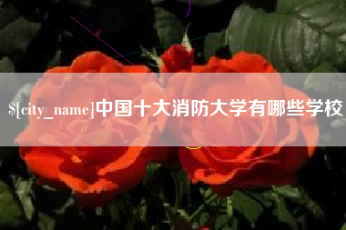 平凉中国十大消防大学有哪些学校