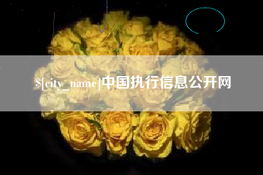 平凉中国执行信息公开网