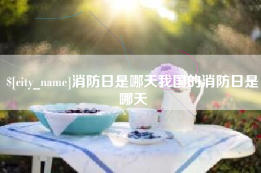 平凉消防日是哪天我国的消防日是哪天