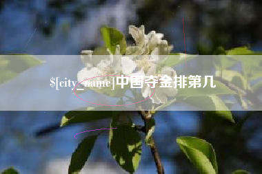 平凉中国夺金排第几