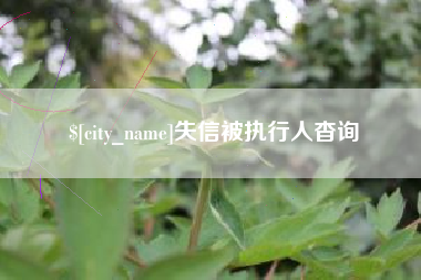 平凉失信被执行人杳询