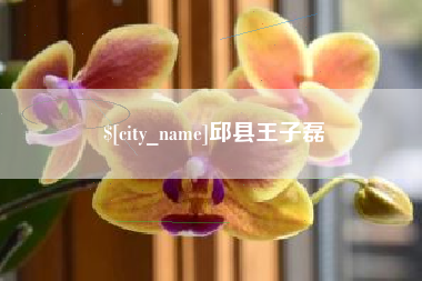 平凉邱县王子磊