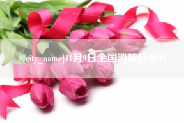 平凉11月9日全国消防日图片