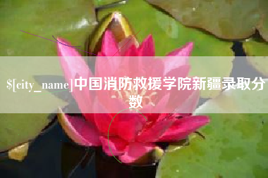 平凉中国消防救援学院新疆录取分数