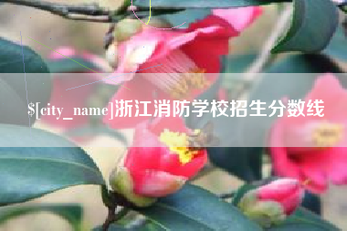 平凉浙江消防学校招生分数线