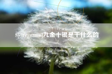 平凉九金十银是干什么的