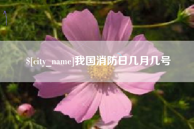 平凉我国消防日几月几号