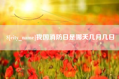平凉我国消防日是哪天几月几日