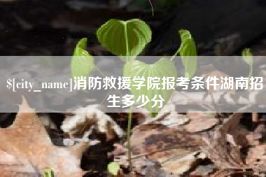 平凉消防救援学院报考条件湖南招生多少分
