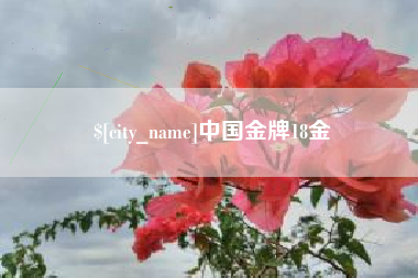 平凉中国金牌18金