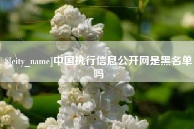 平凉中国执行信息公开网是黑名单吗