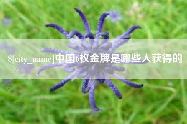 平凉中国6枚金牌是哪些人获得的