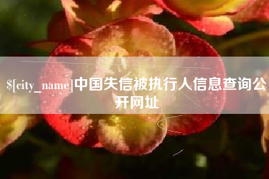 平凉中国失信被执行人信息查询公开网址