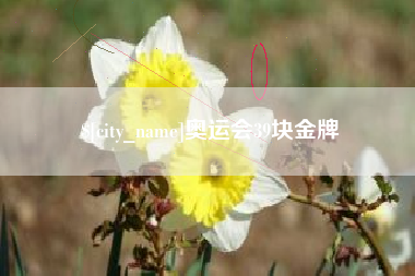平凉奥运会39块金牌