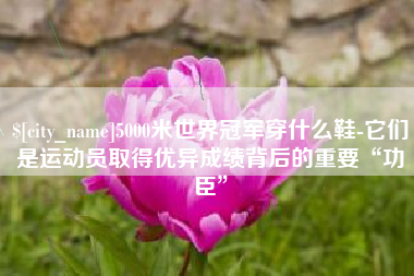 平凉5000米世界冠军穿什么鞋-它们是运动员取得优异成绩背后的重要“功臣”