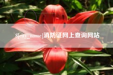 平凉消防证网上查询网站