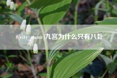 平凉九宫为什么只有八卦