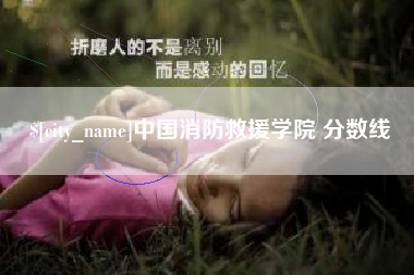 平凉中国消防救援学院 分数线