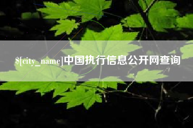 平凉中国执行信息公开网查询