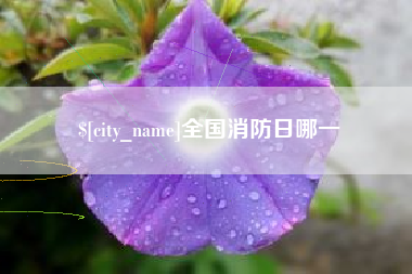 平凉全国消防日哪一