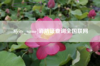平凉消防证查询全国联网