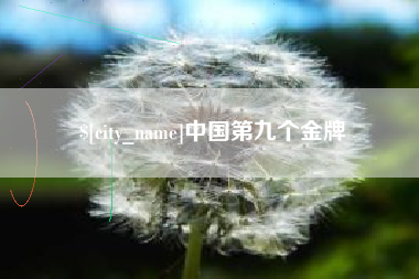 平凉中国第九个金牌