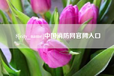 平凉中国消防网官网入口
