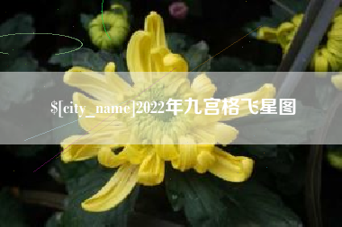 平凉2022年九宫格飞星图