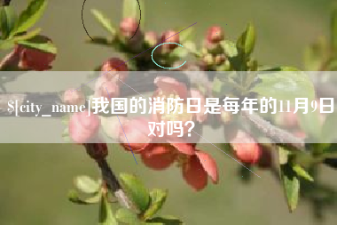 平凉我国的消防日是每年的11月9日对吗？